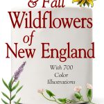 New England Gardening Guide eBook by Down East Books 2nd Edition-0